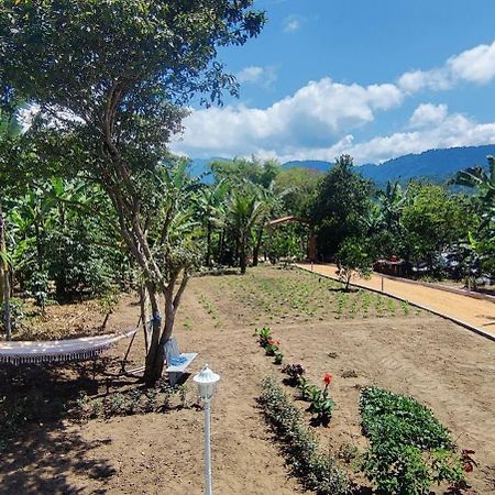 Balcon De Mindo Apartment ภายนอก รูปภาพ