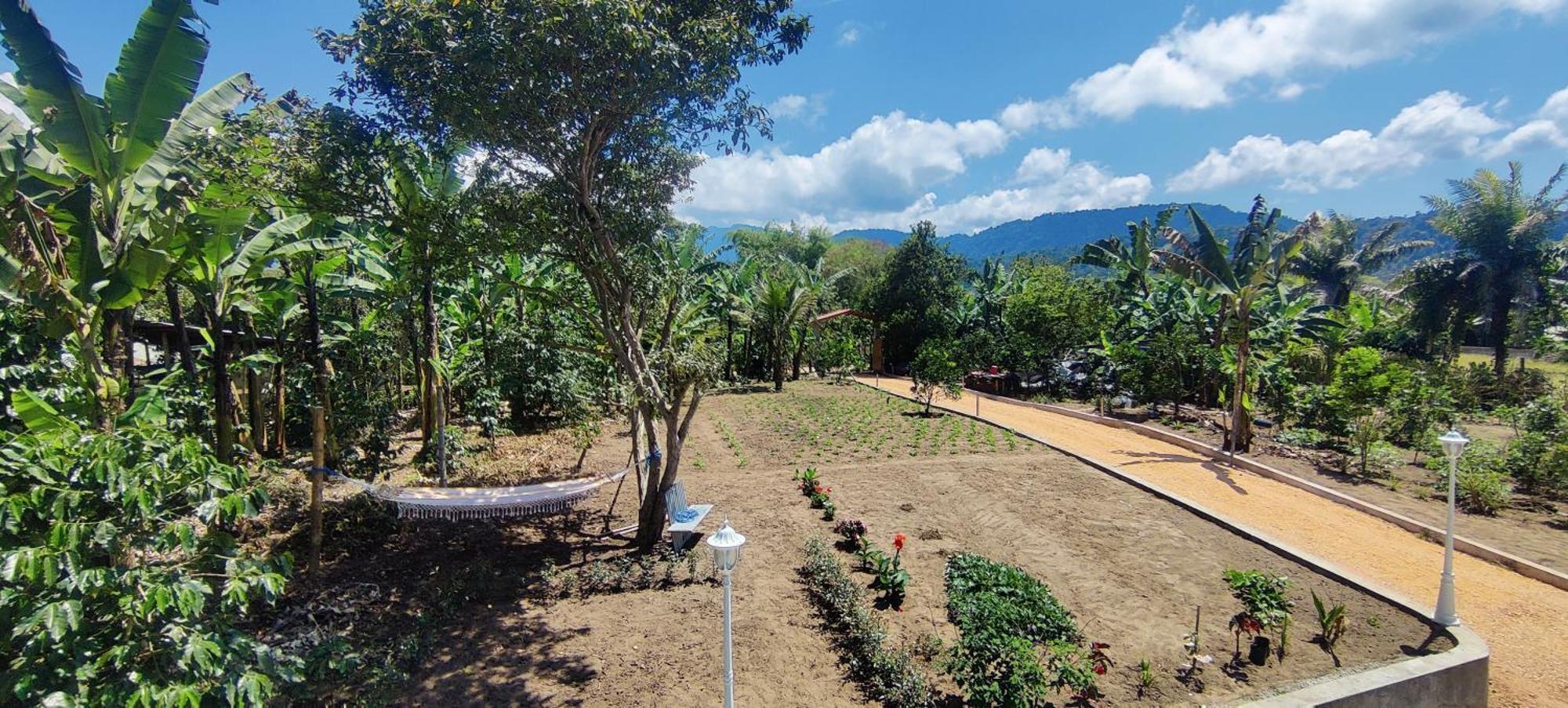 Balcon De Mindo Apartment ภายนอก รูปภาพ